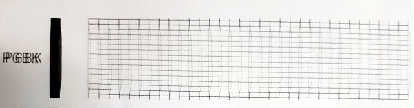 деградация печатающей головки Canon